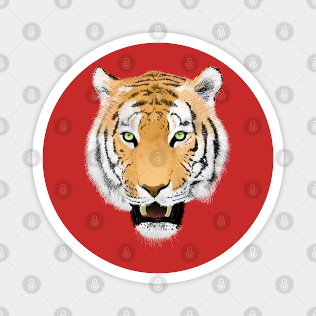 Tiger Face Wildlife Art Magnet by macdonaldcreativestudios